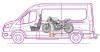 ford_seite4.jpg